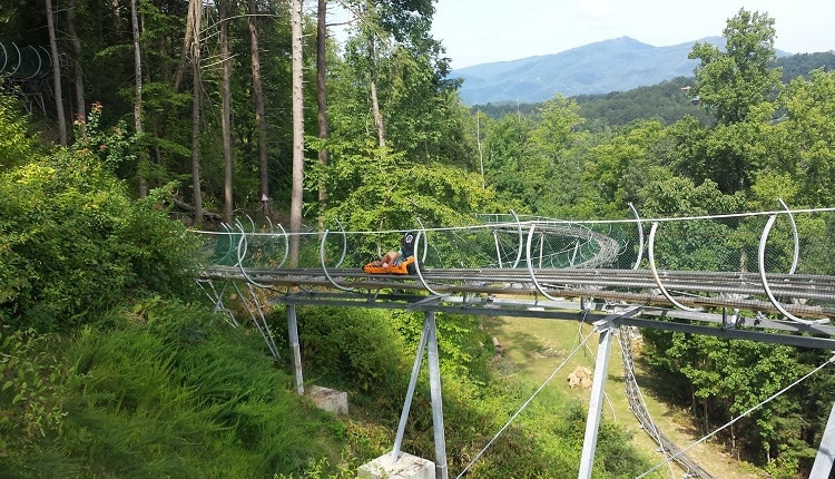 Things To Do https://heavenscabins.icnd-cdn.com/images/thingstodo/Alpine coaster.jpg